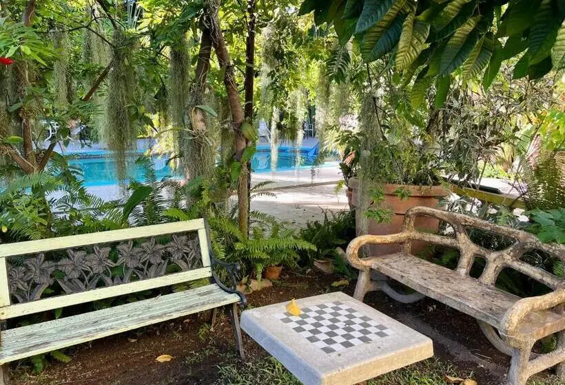 سوییت لوکس, Orchid Cottage