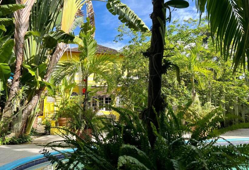 سوییت لوکس, Orchid Cottage