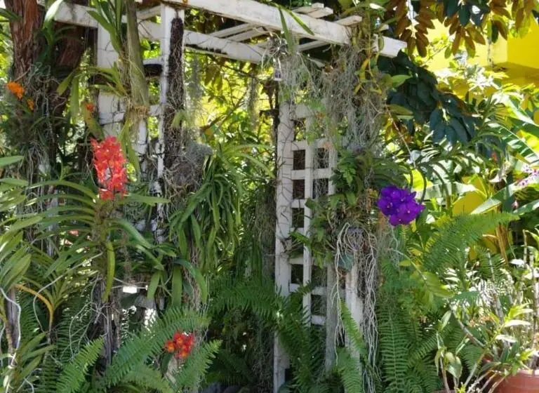 بانگلوی لوکس, Orchid Cottage