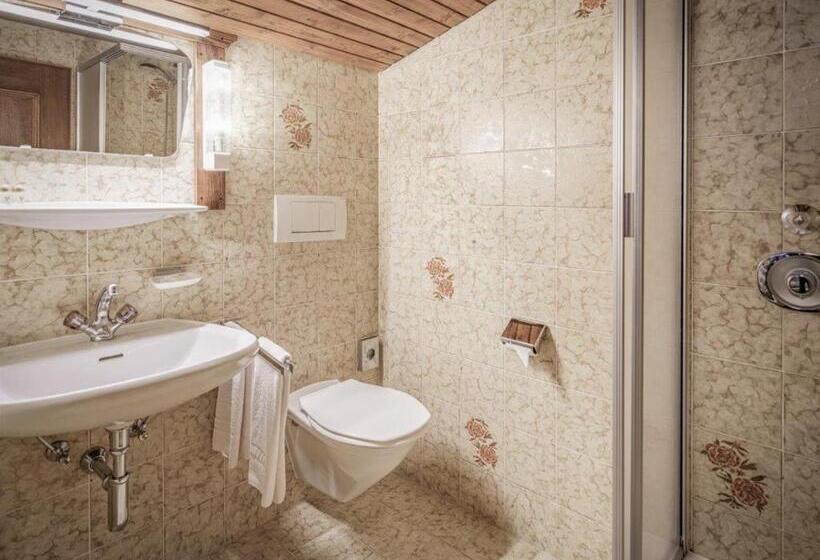 스탠다드 룸 가든 전망, Gästehaus Elfriede