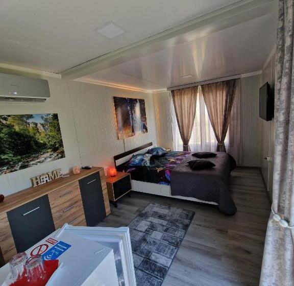 اتاق استاندارد با تخت بزرگ, House Garden