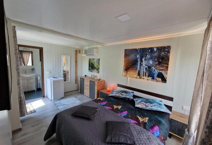 اتاق استاندارد با تخت بزرگ, House Garden