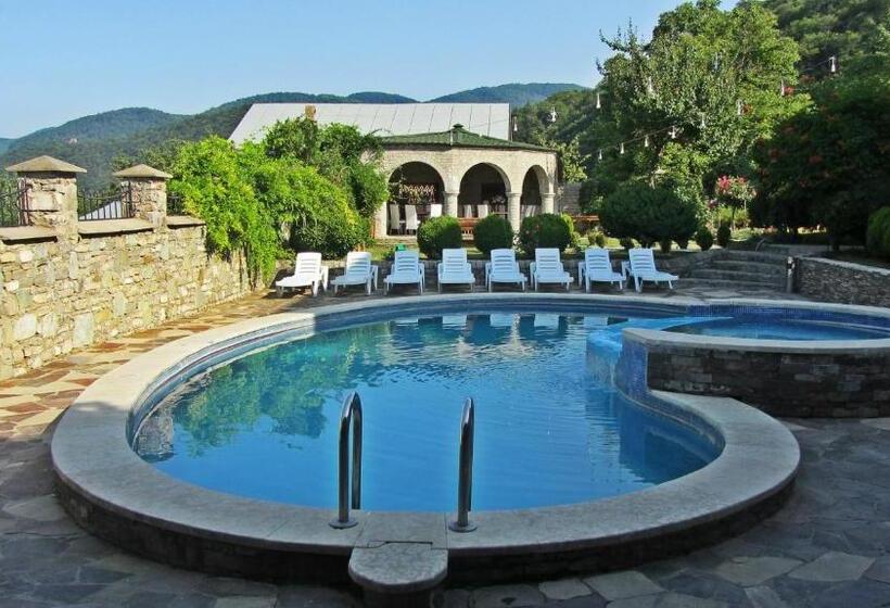 اتاق استاندارد با چشمانداز استخر, Villa Ananuri