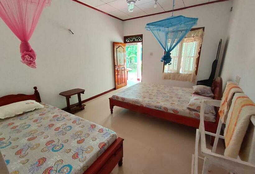 标准三人间, Ancient Tree