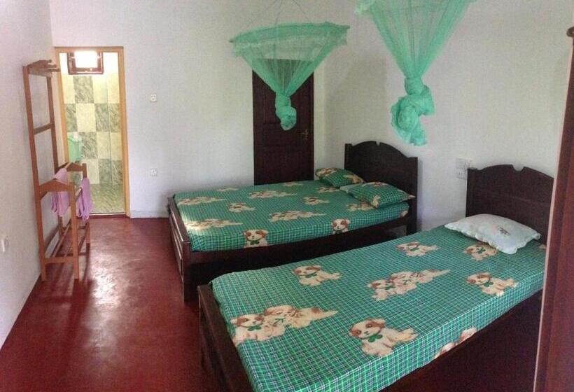 带阳台的三人标准间, Ancient Tree