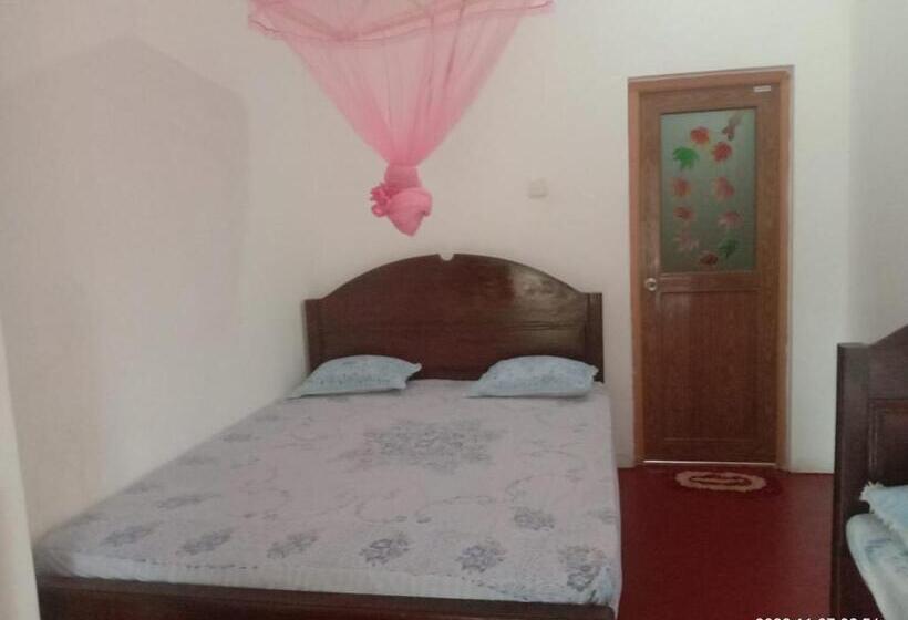 带阳台标准四人间, Ancient Tree