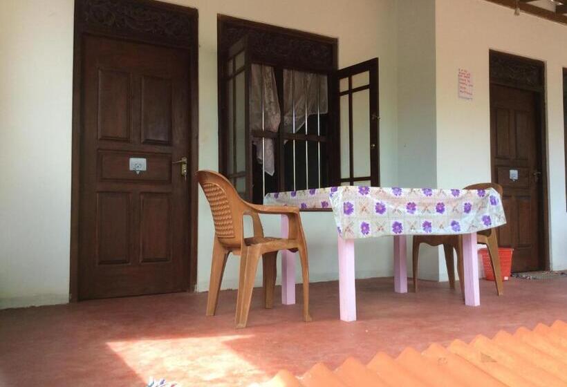 带阳台标准四人间, Ancient Tree