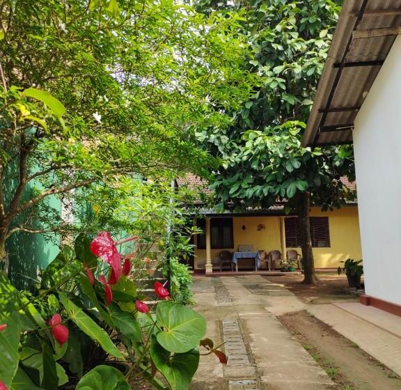 经济房, Ancient Tree