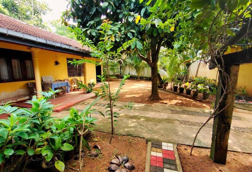 经济房, Ancient Tree