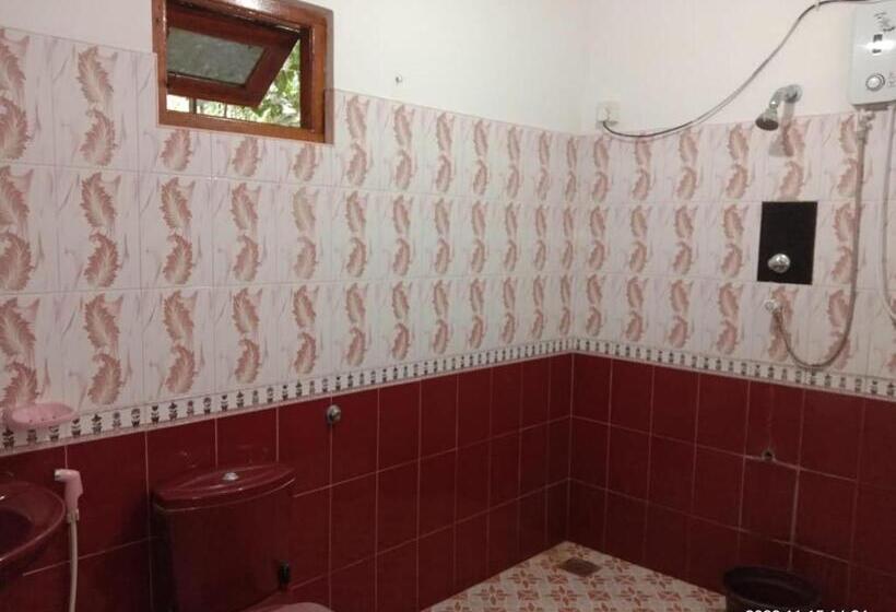 标准三人间, Ancient Tree