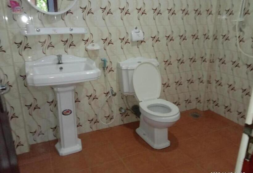 标准三人间, Ancient Tree