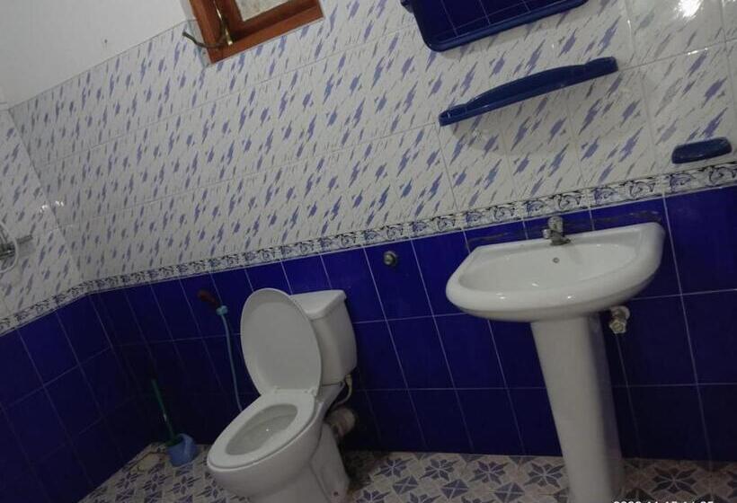 标准三人间, Ancient Tree