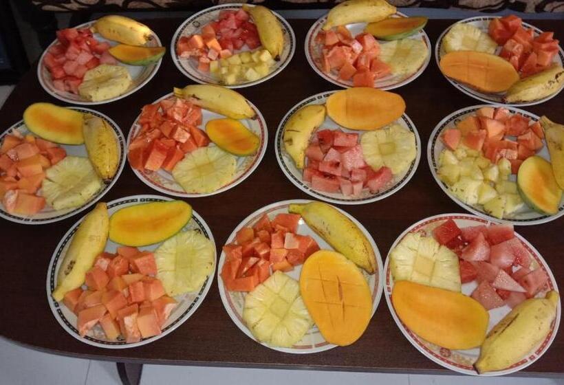 带阳台标准四人间, Ancient Tree