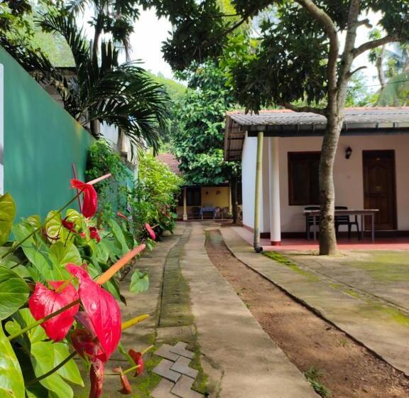 带阳台标准四人间, Ancient Tree