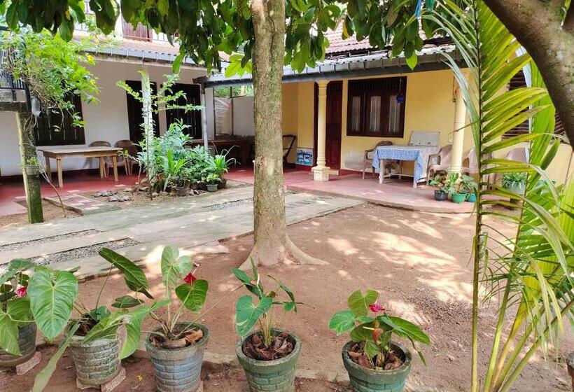 带阳台标准四人间, Ancient Tree