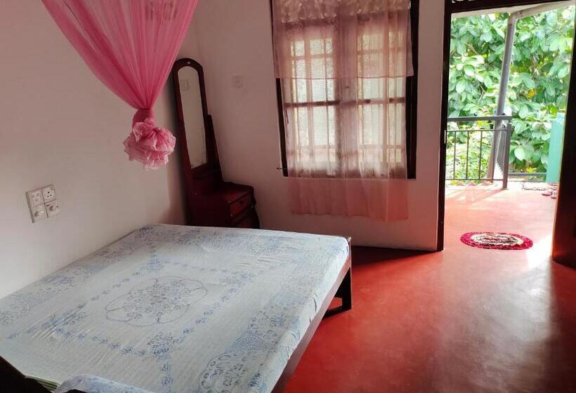 带阳台标准四人间, Ancient Tree