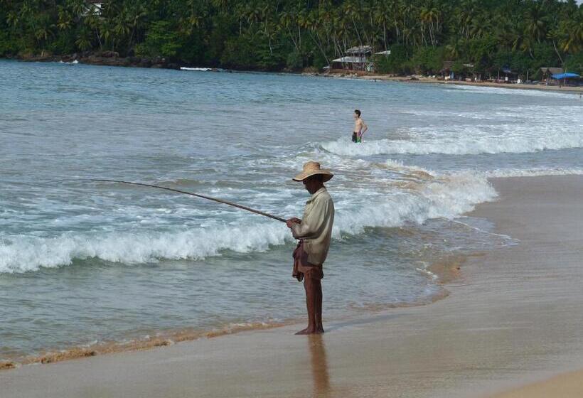 标准三人间, Ancient Tree