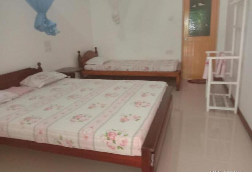 标准三人间, Ancient Tree