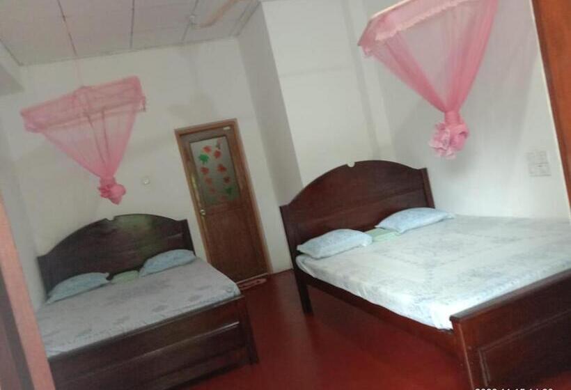 带阳台标准四人间, Ancient Tree