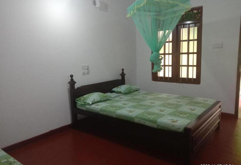 标准三人间, Ancient Tree