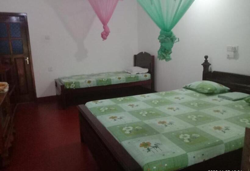 标准三人间, Ancient Tree