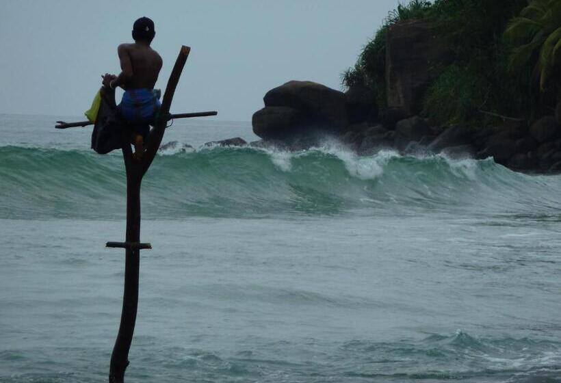 标准三人间, Ancient Tree