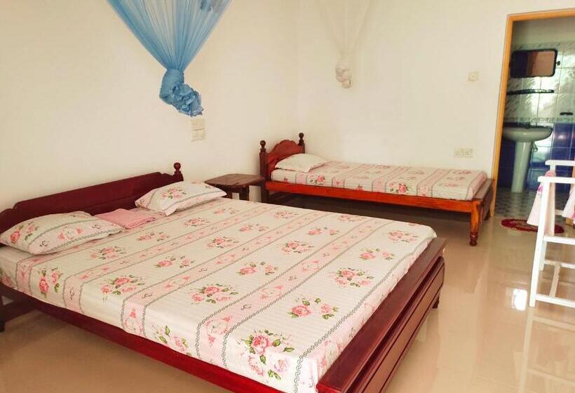 标准三人间, Ancient Tree