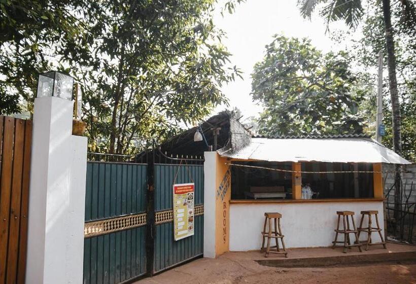 带阳台的三人标准间, Ancient Tree