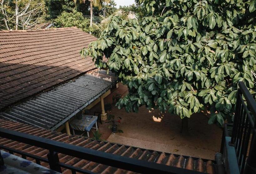 带阳台的三人标准间, Ancient Tree