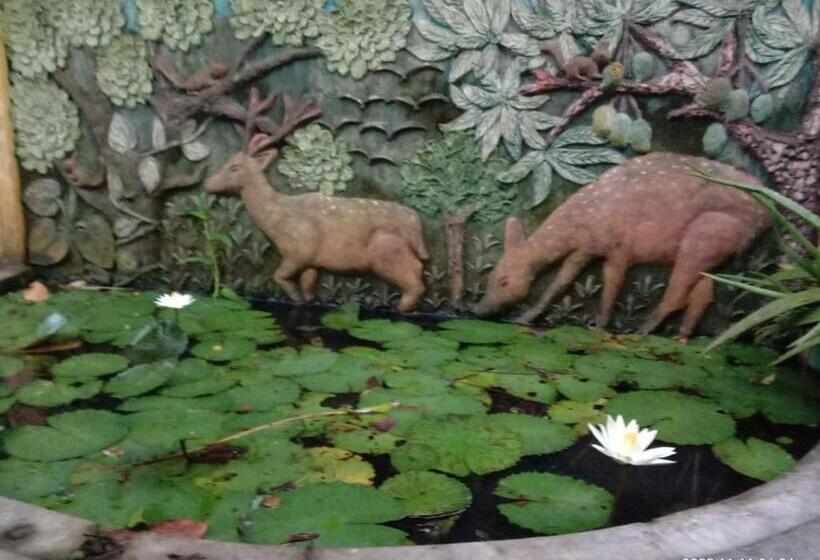 带阳台标准四人间, Ancient Tree