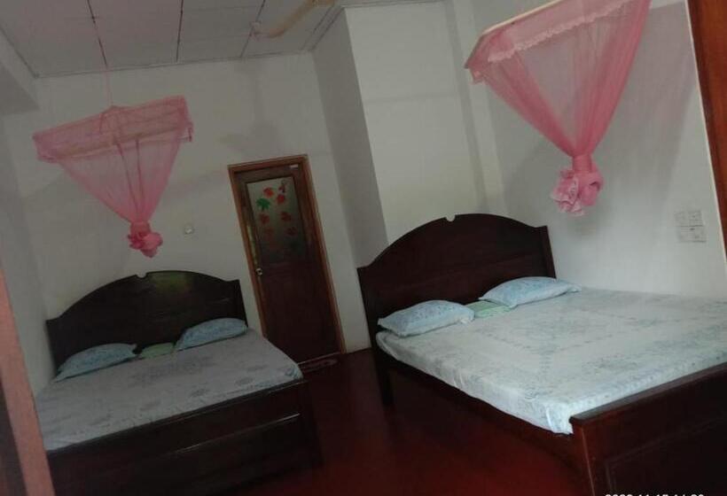 带阳台标准四人间, Ancient Tree