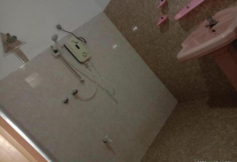 带阳台标准四人间, Ancient Tree