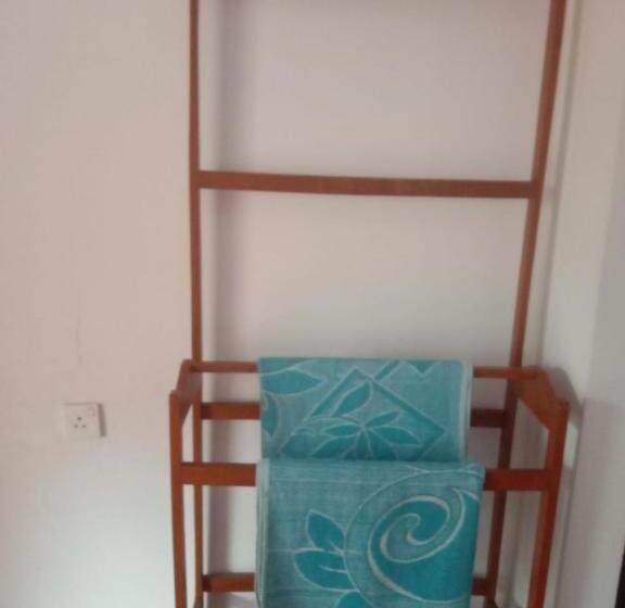 带阳台标准四人间, Ancient Tree