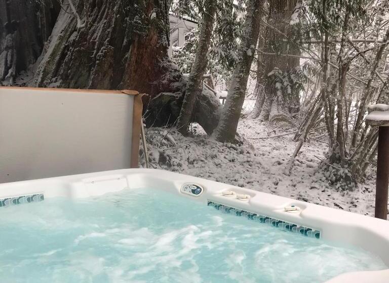 جناح سرير كينج, Mountain Meadows Inn & Chalet Suites