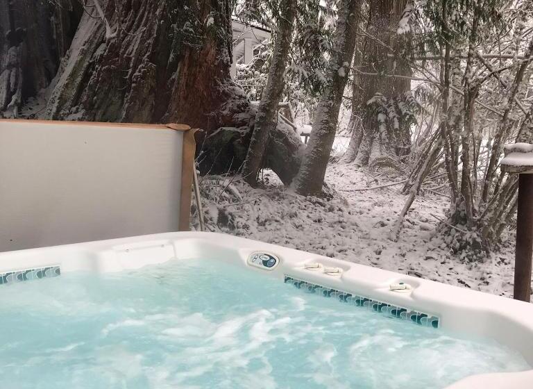 Дом 3 Спальни, Mountain Meadows Inn & Chalet Suites