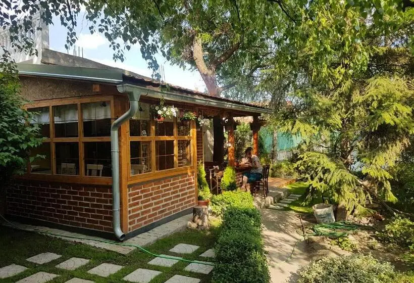 چادر با خدمات رفاهی استاندارد, Base For Adventurers   Urban Guerrilla