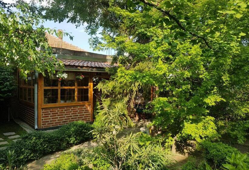 چادر با خدمات رفاهی استاندارد, Base For Adventurers   Urban Guerrilla