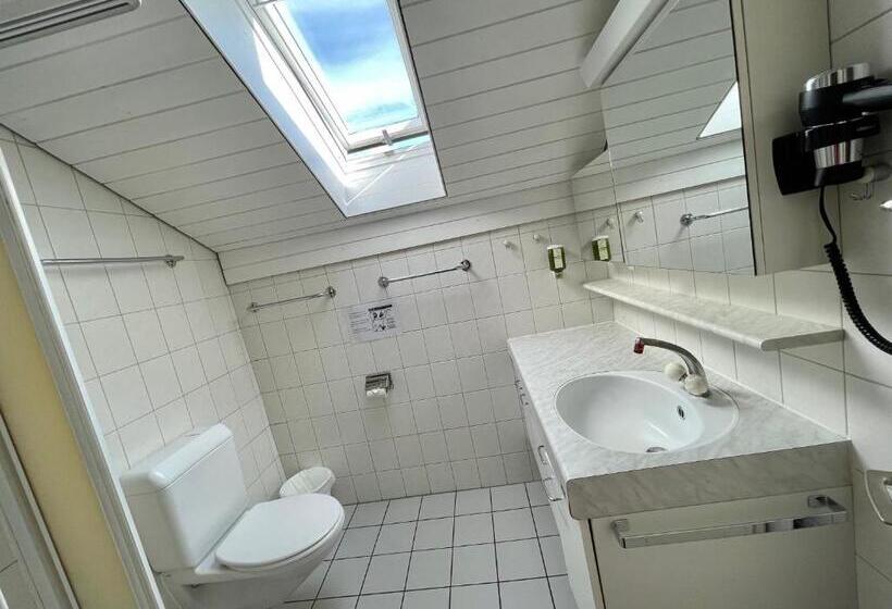 חדר סטנדרט לשלושה עם חדר אמבטיה משוף, Interlaken Marco Hostel