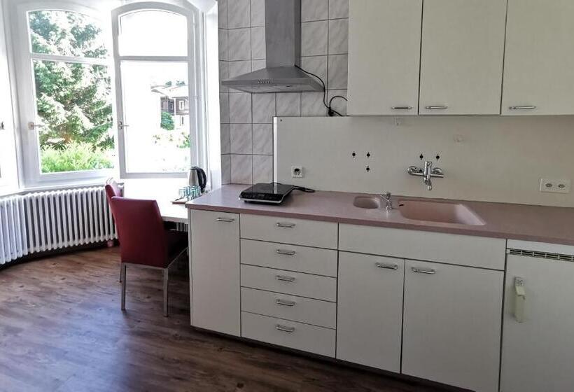 חדר לארבעה סטנדרטי עם מרפסת, Interlaken Marco Hostel