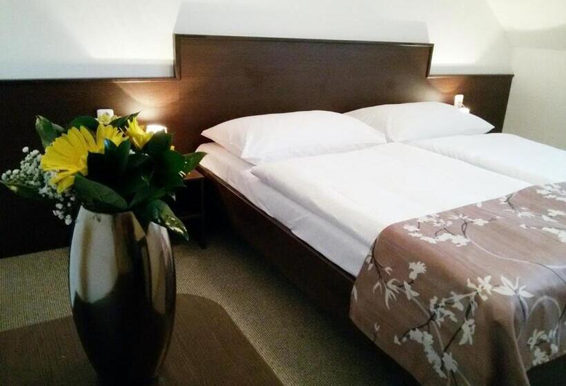 اتاق استاندارد, Penzion Dobré Hnízdo