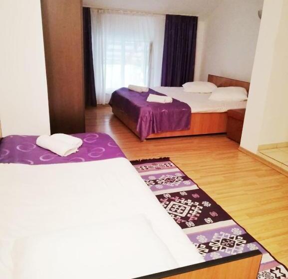 标准间, Pensiunea Broscuta