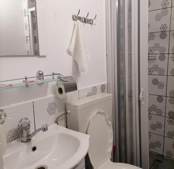 标准间, Pensiunea Broscuta