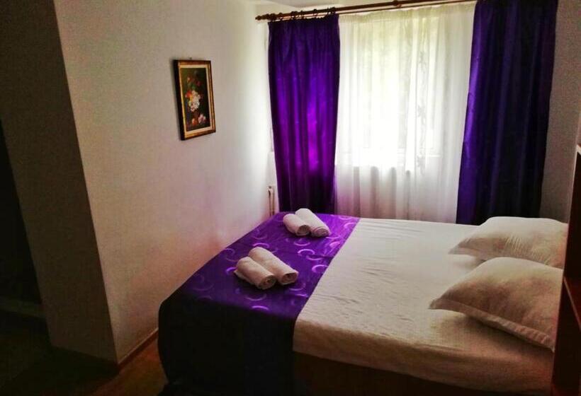 标准间, Pensiunea Broscuta