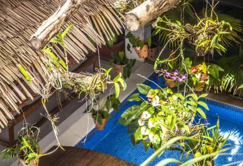 آپارتمان لوکس 1 خوابه, Ecologe