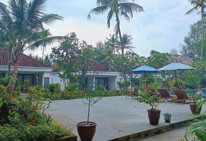 プールビュースタンダードルーム, Blue Marlin Dive Gili Air