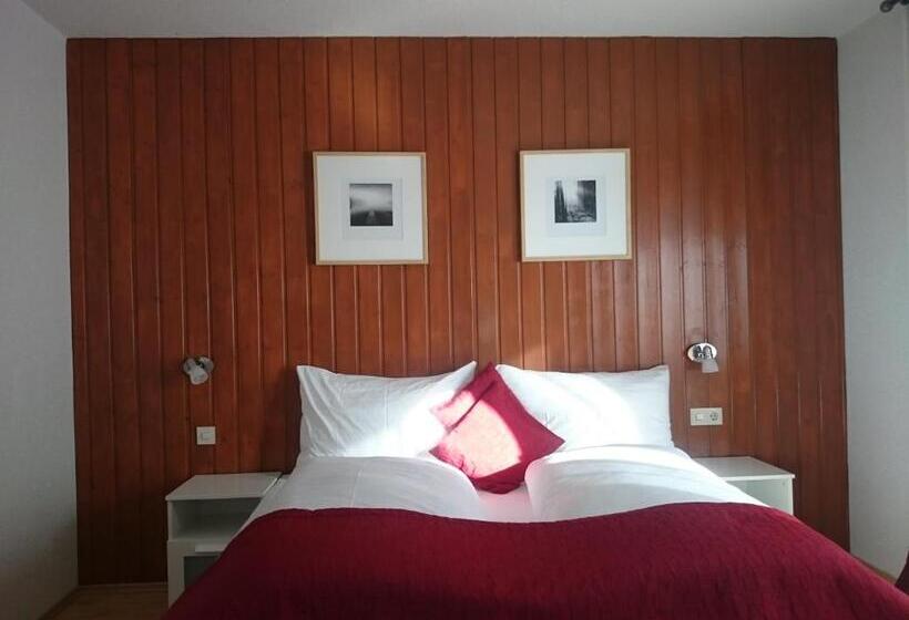 Cameră Deluxe cu Balcon, Pension Hofweyer