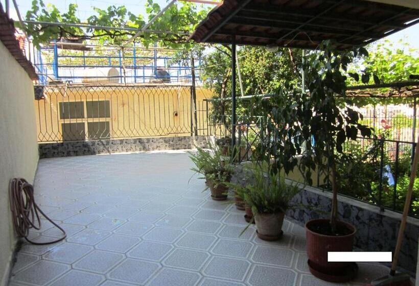 استودیوی استاندارد, Guest House And Tavern Leo