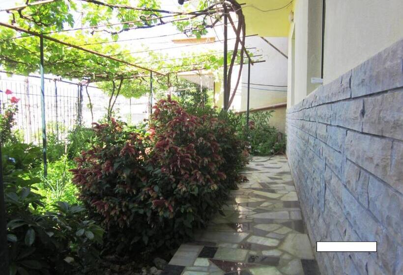 استودیوی استاندارد, Guest House And Tavern Leo