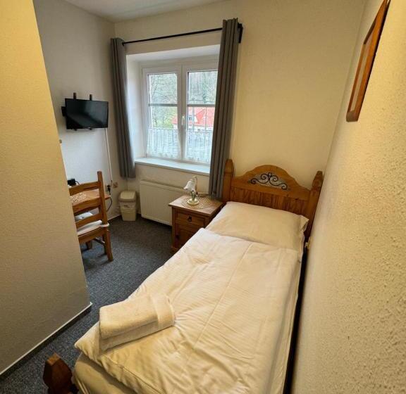 غرفة فردية  مطلة على الحديقة, Penzion Janoštík