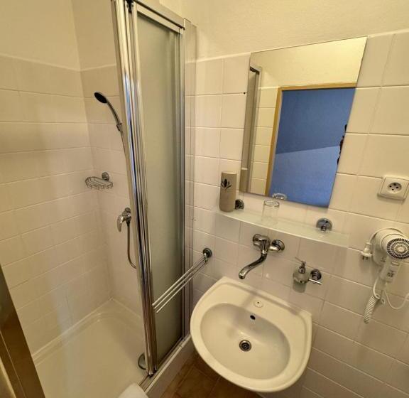 غرفة فردية  مطلة على الحديقة, Penzion Janoštík